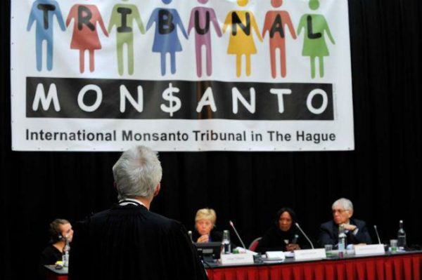 Durante três dias, cinco juízes ouviram 30 depoimentos de pessoas prejudicadas pela Monsanto em tribunal popular realizado em Haia. | Reprodução Facebook
