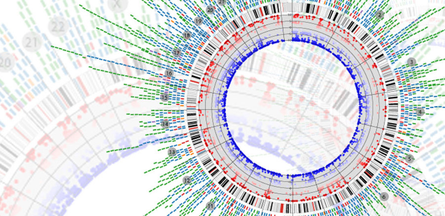 Nos Estados Unidos, o projeto The Cancer Genome Atlas fez o mapeamento genético de centenas de tumores, de vários tipos. 