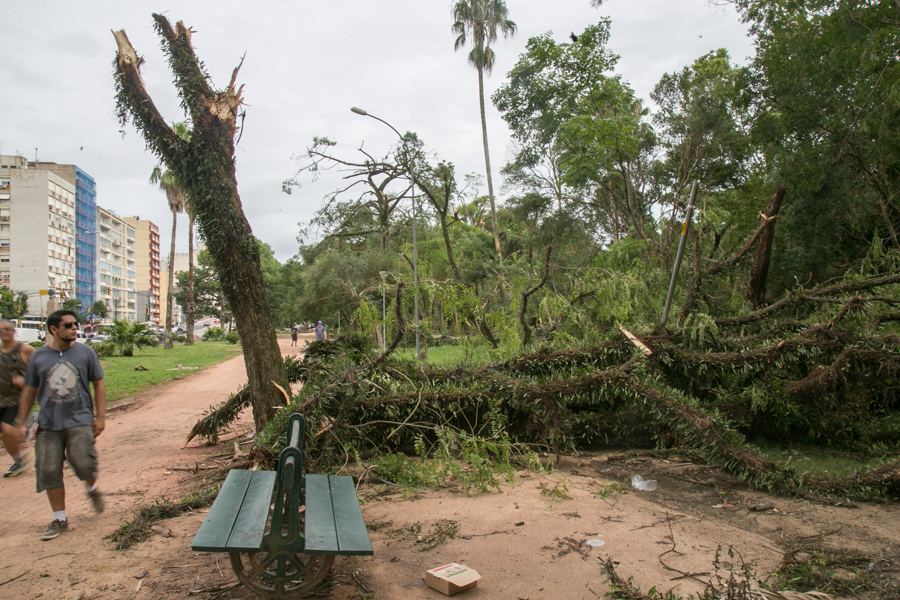 03/02/2016 - PORTO ALEGRE, RS, BRASIL - Árvores caídas na redenção | Foto: Caroline Ferraz/Sul21