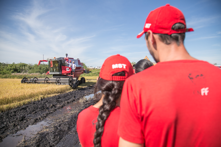 A produção de arroz agroecológico das famílias do MST começou em 1999 e é coordenada pela Cooperativa dos Trabalhadores Assentados da Região de Porto Alegre (Cootap). (Foto: Joana Berwanger/Sul21)