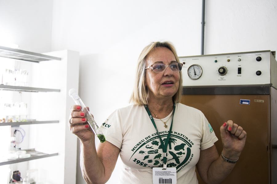 “Somos o único instituto do Rio Grande do Sul que realiza controle de cianobactérias na água", diz a a bióloga Vera Regina Werner. (Foto: Maia Rubim/Sul21)