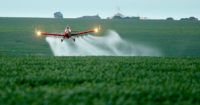 Agenda da Agricultura com Monsanto sugere aprovação do ‘Pacote do Veneno’