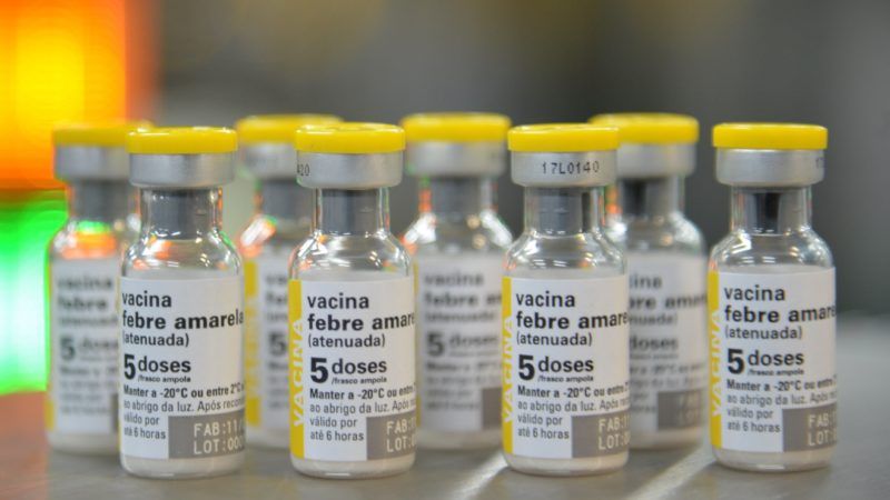 Vacinação contra febre amarela